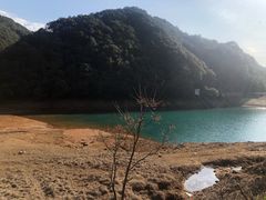 -午潮山国家森林公园