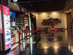 -华谊兄弟影院(IMAX洋桥店)