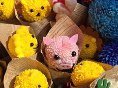 -越秀西湖花市(广州城市广场花卉店)