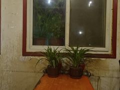 -胖哥料理(兴义里店)