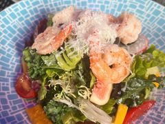 鲜虾牛油果沙拉-West10 西拾·西餐厅·创意菜(未来科技城店)