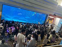 -海合安成都极地海洋公园