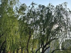 -新江湾城公园