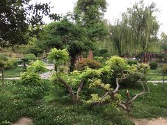 -商丘市人民公园