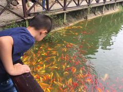 -武汉紫薇都市田园