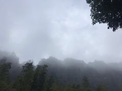 -綦江古剑山