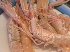 俄罗斯牡丹虾-亚马逊蒸汽活海鲜自助(LCM置汇旭辉广场店)