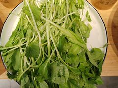 -鸽子窝(宋庄店)