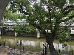 -广东胜利宾馆西关粤中餐厅