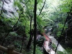 -牛背梁国家森林公园