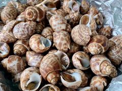 -南沙十九涌渔人码头-南门