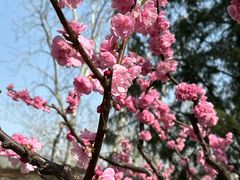 -香山公园