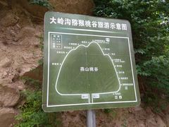 -大岭沟猕猴桃谷风景区