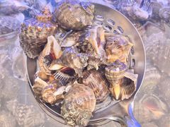 -1937青岛老味道·海肠捞饭·青岛菜(大鲍岛栈桥店)