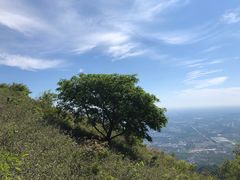 -阳台山自然风景区