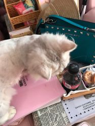 -Beauty Nails 美甲美睫皮肤管理