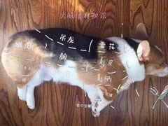 -打酱友•斑鱼海鲜粥火锅(吴桥店)