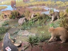 -陕西自然博物馆