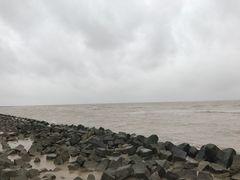 -南汇嘴观海公园