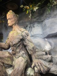 -Zoolung Zoolung动物主题公园(海信广场店)