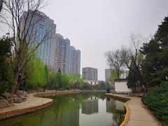 -团结湖公园