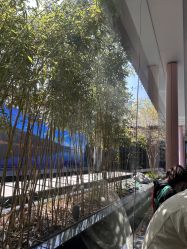 -爱儿美儿童摄影(朝阳公园店)