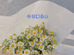 -溪岸路花鸟市场