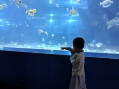 -重庆欢乐海底世界