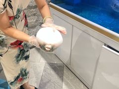 -鲐赏河豚(长寿店)