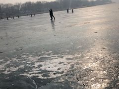 -丁香湖公园
