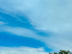 -小麦岛公园