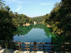 -广州市流溪河国家森林公园