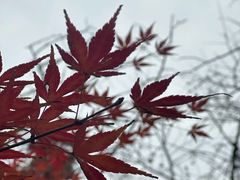 -汇龙潭