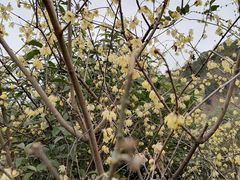 -息烽温泉