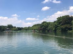 -西湖外事游船(花港观鱼码头)