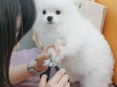 -北京观赏动物医院·24小时大型综合·猫专科·异宠专科