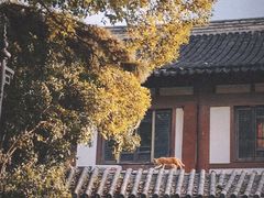 -常熟方塔园