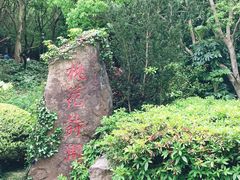 -桃花岛风景旅游区