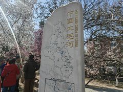 -桃花堤公园