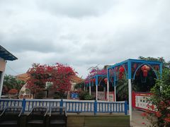 -马大胡子清真西北菜