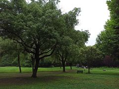 -大宁郁金香公园-停车场