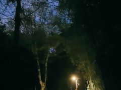 -望江楼公园