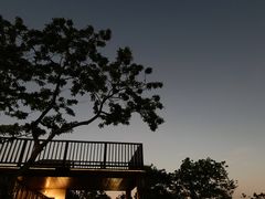 -红树湾(地铁站)