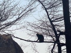 -崂山巨峰游览区