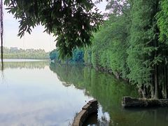 -三水森林公园