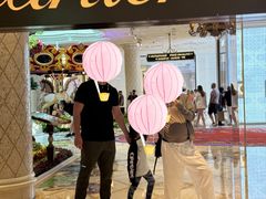 -拉斯维加斯永利酒店