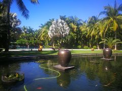 -三亚湾海居铂尔曼度假酒店