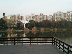 -新江湾城公园