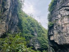 -鹿院坪生态旅游景区
