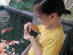 -上海星河湾酒店(闵行店)